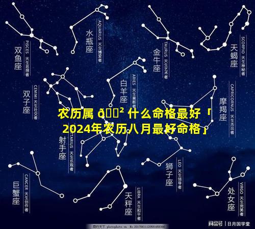 农历属 🌲 什么命格最好「2024年农历八月最好命格」